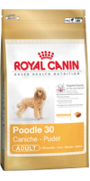 RC POODLE 30, 500 гр