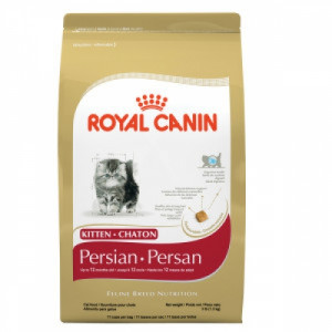 RC Kitten Persian 32, 400 гр RC Kitten Persian 32, 400 гр