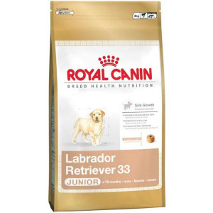 RC LABRADOR RETRIEVER JUNIOR 3 кг RC LABRADOR RETRIEVER JUNIOR 3 кг
