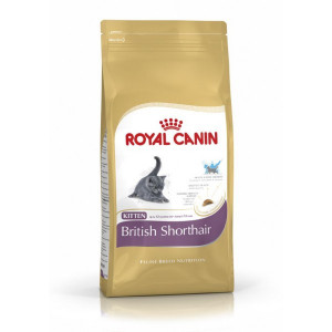 RC Kitten British Shorthair 2 кг питание для котят британской короткошерстной породы