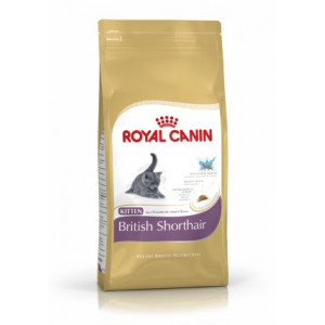 RC Kitten British Shorthair 400 гр питание для котят британской короткошерстной породы RC Kitten British Shorthair 400 гр питание для котят британской короткошерстной породы