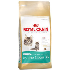 RC Kitten Maine Coon 36, 4 кг специальное питание для котят породы Мэйн Кун RC Kitten Maine Coon 36, 4 кг специальное питание для котят породы Мэйн Кун